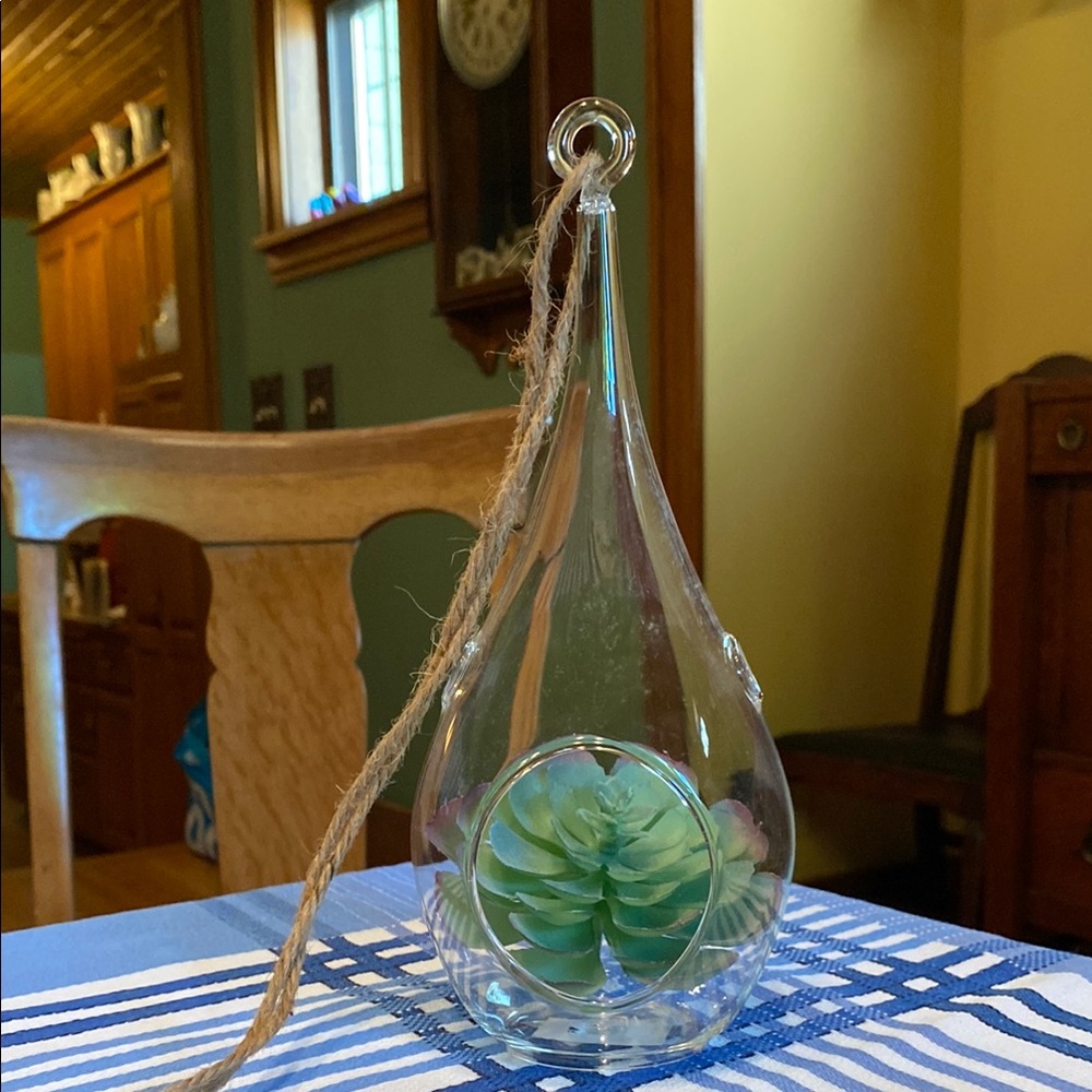 Hanging Terrarium